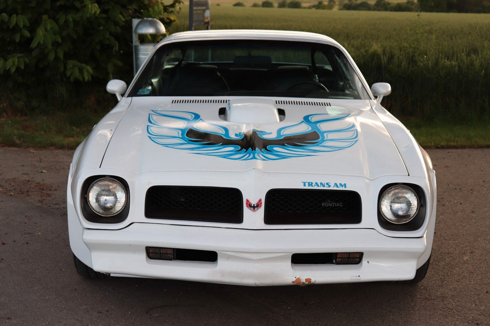 PONTIAC Firebird Trans Am 455-HO Coupe 7,5 L|Fahrbereit| - Bild 1