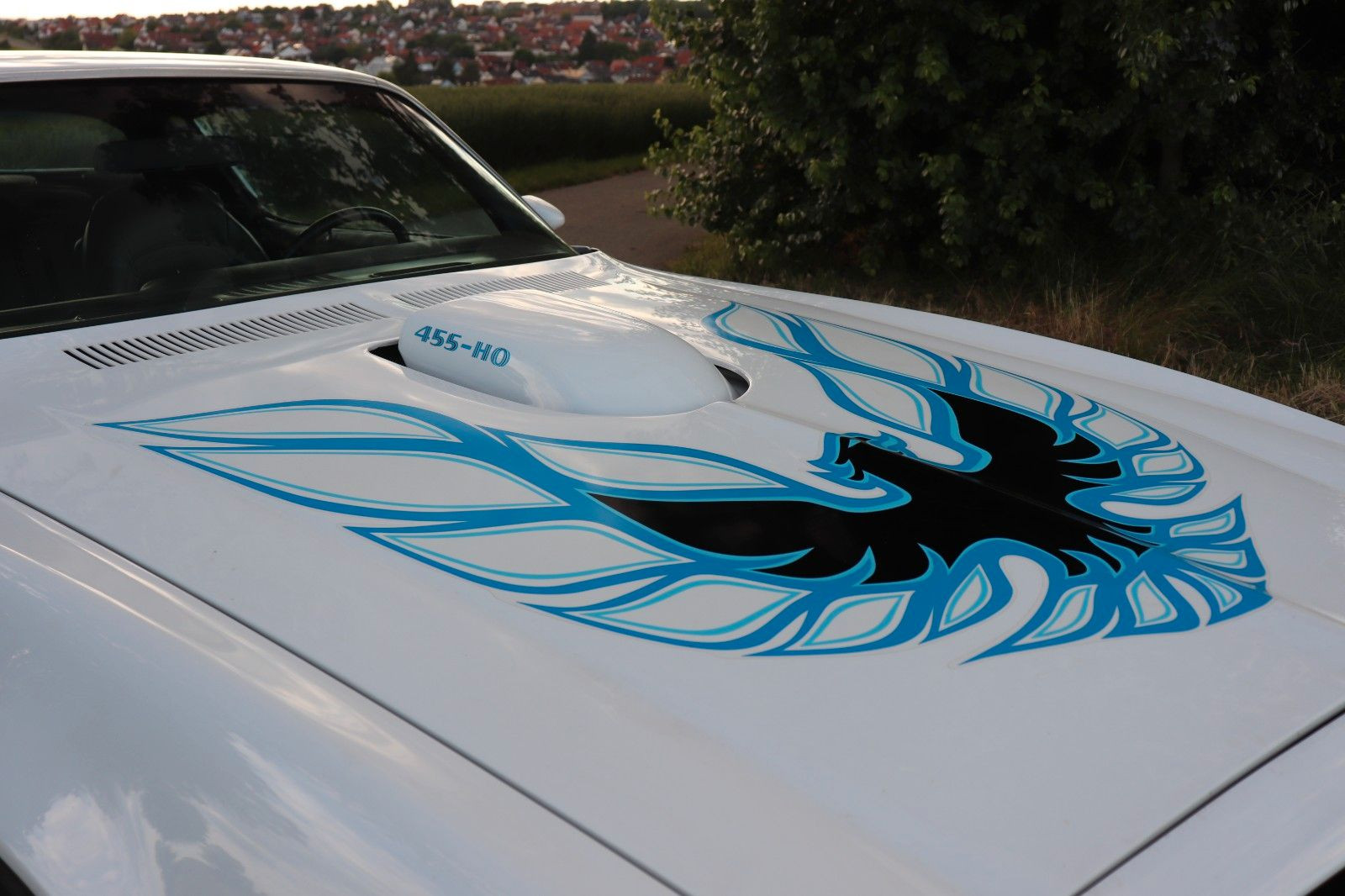 PONTIAC Firebird Trans Am 455-HO Coupe 7,5 L|Fahrbereit| - Bild 12