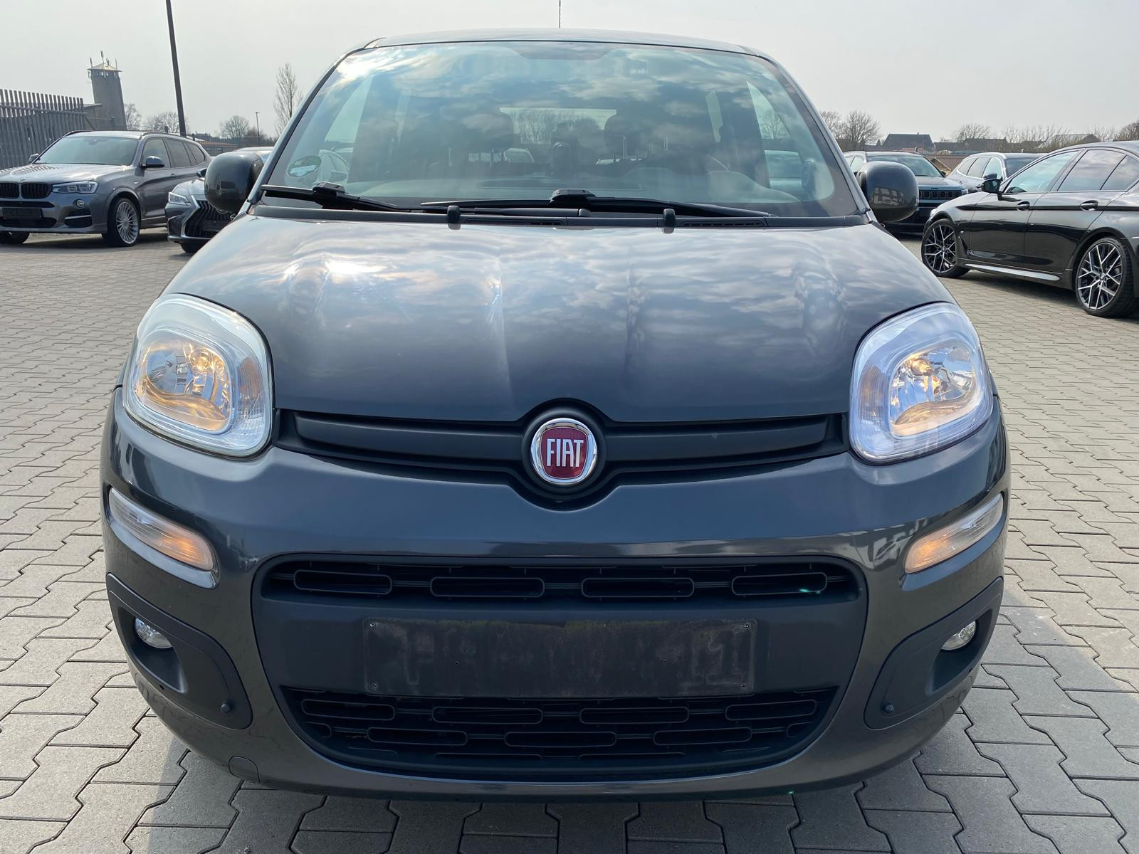Fiat Panda Lounge - Bild 4