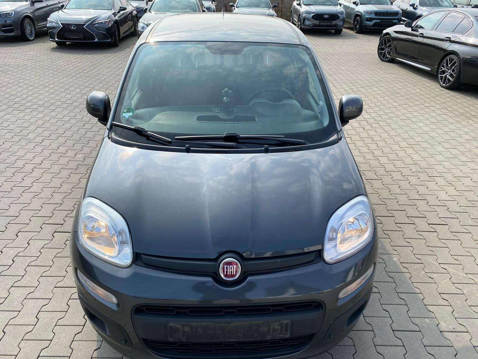 Fiat Panda Lounge - Bild 9
